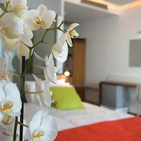 Hotel Buca